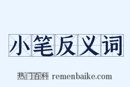 小笔反义词是什么意思的图片